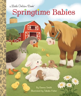 Front cover_Springtime Babies