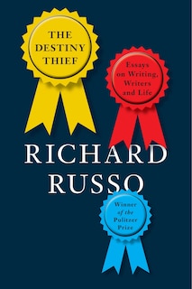 Front cover_The Destiny Thief