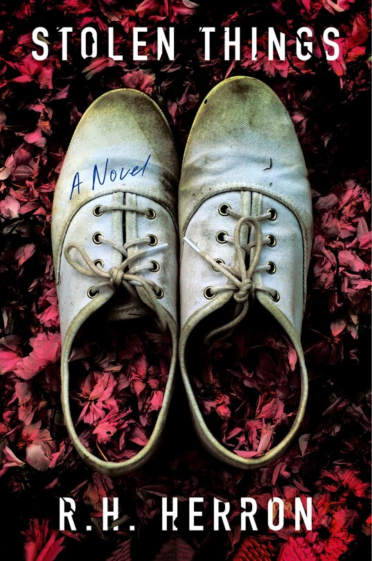 Couverture_Stolen Things