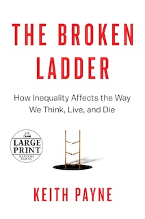 Front cover_The Broken Ladder