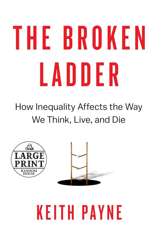 Front cover_The Broken Ladder