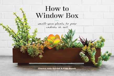 How To Window Box: Small-space Plants To Grow Indoors Or Out