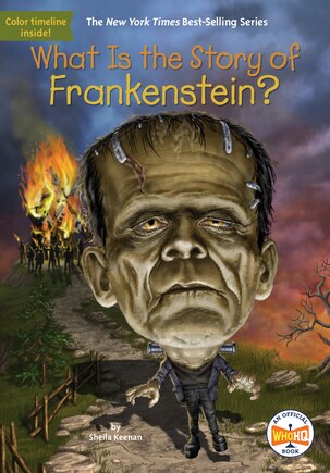 What Is The Story Of Frankenstein?