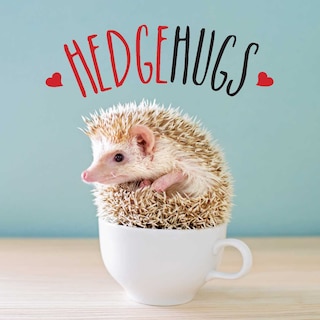 Front cover_Hedgehugs