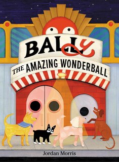 Front cover_BALLy the Amazing Wonderball