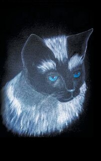 Couverture_Tales From The Millinery Shop With a Twist