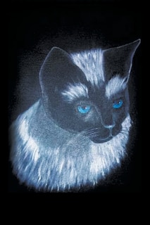 Couverture_Tales From The Millinery Shop With a Twist