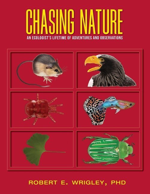 Couverture_Chasing Nature