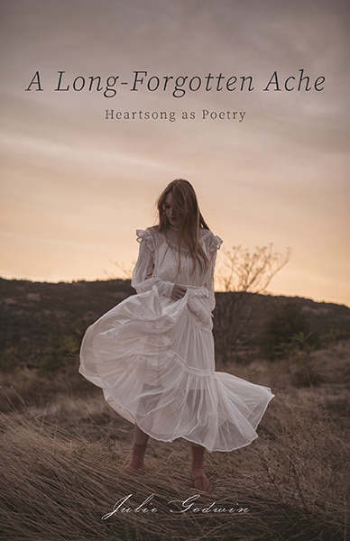 Front cover_A Long-Forgotten Ache