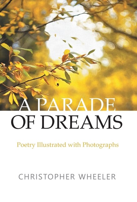 Couverture_A Parade of Dreams