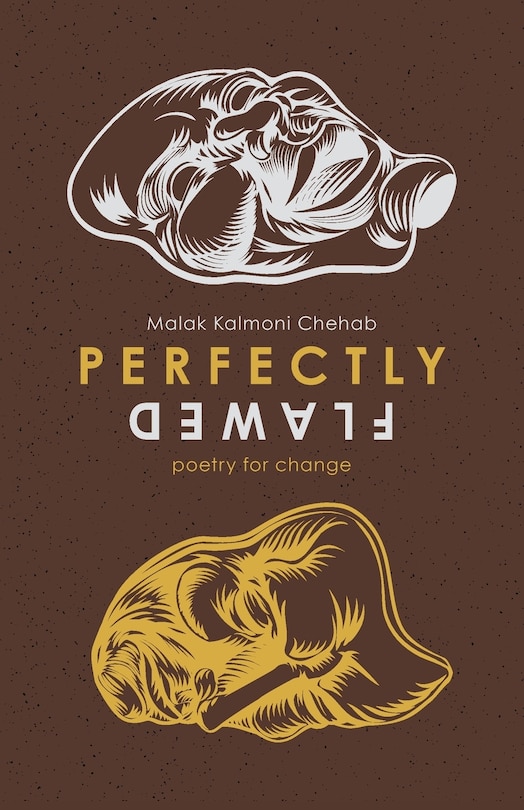 Front cover_Perfectly Flawed