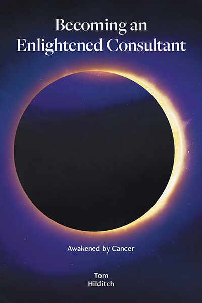 Couverture_Becoming an Enlightened Consultant