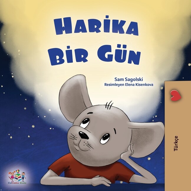 Front cover_A Wonderful Day (Turkish Book for Children)