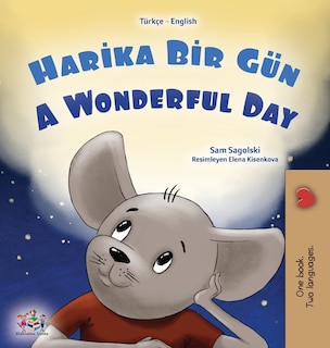 Front cover_A Wonderful Day (Turkish English Bilingual Book for Kids)
