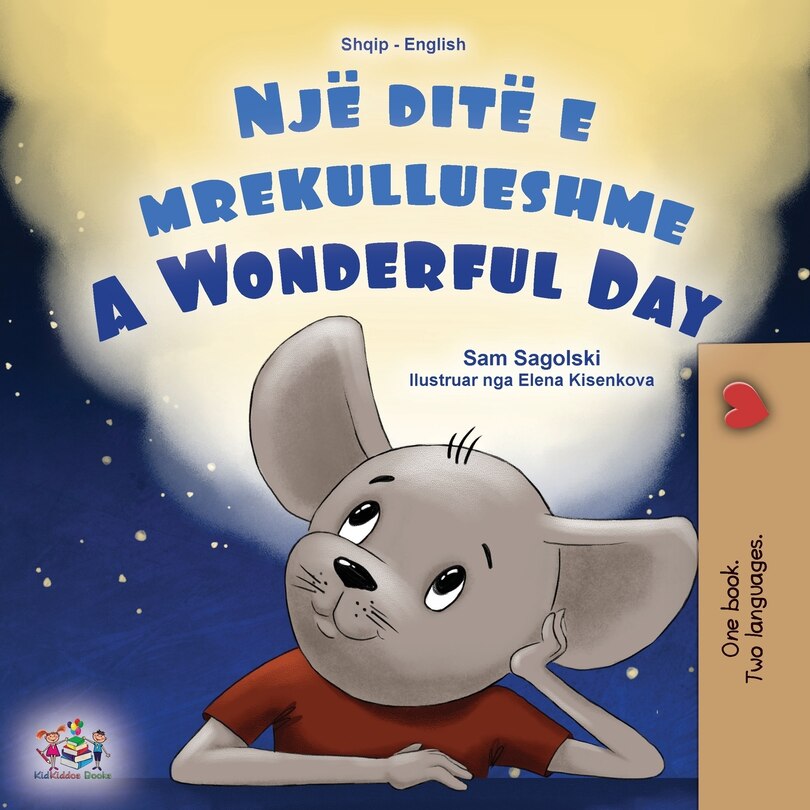 Front cover_A Wonderful Day (Albanian English Bilingual Book for Kids)