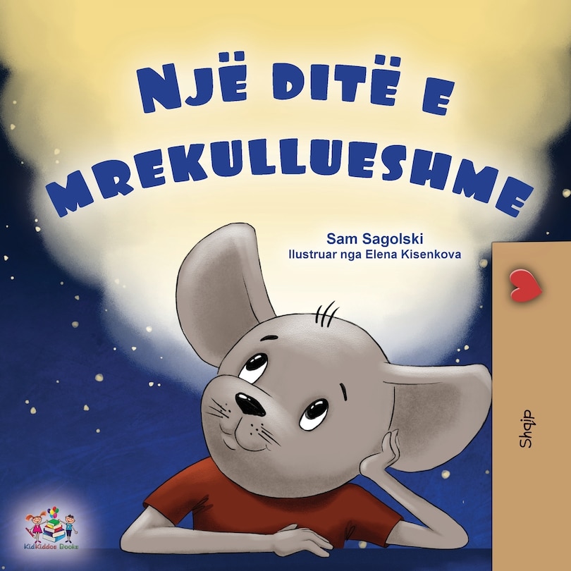 Front cover_A Wonderful Day (Albanian Book for Kids)