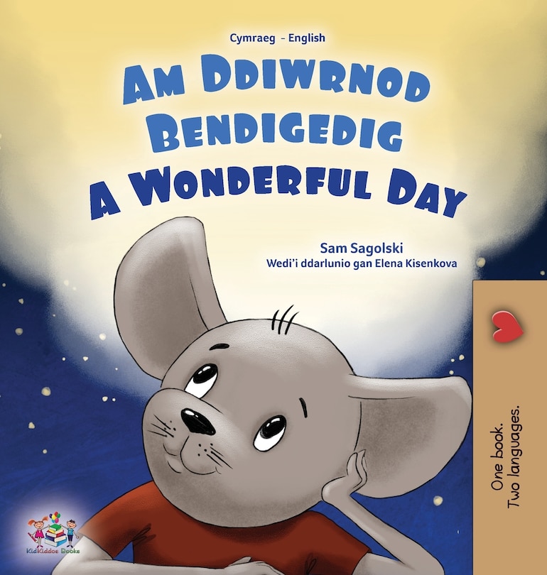 Front cover_A Wonderful Day (Welsh English Bilingual Children's Book)