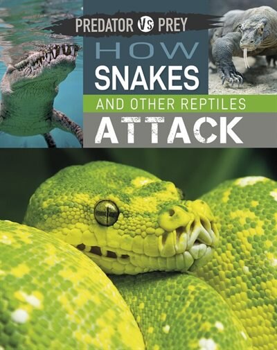 Front cover_Predator Vs Prey: How Snakes And Other Reptiles Attack!