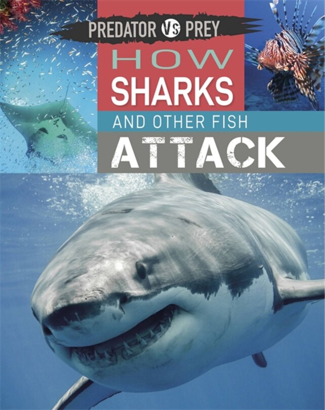 Couverture_Predator Vs Prey: How Sharks And Other Fish Attack!