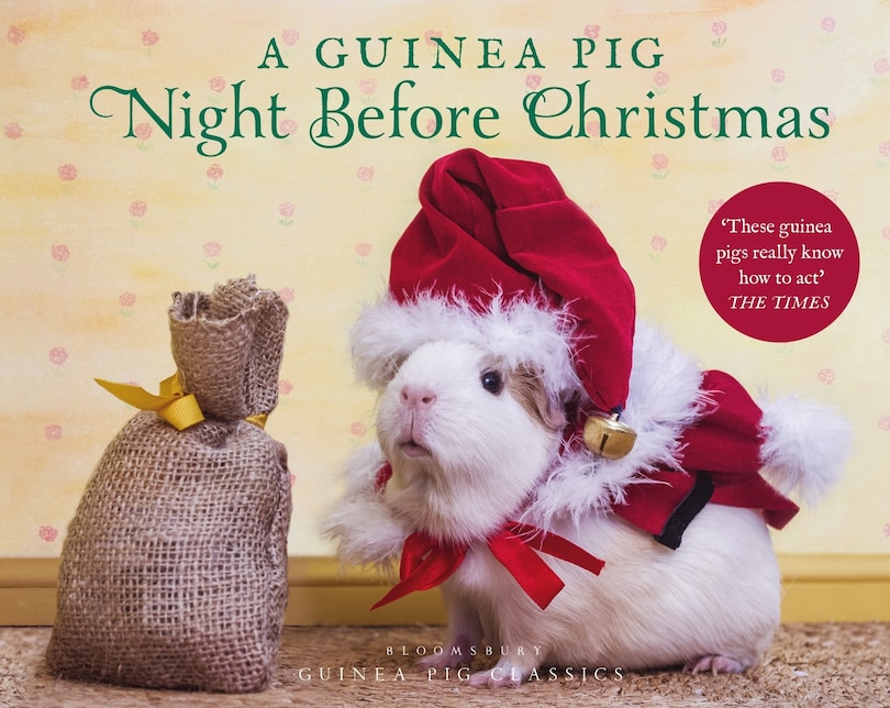 Front cover_A Guinea Pig Night Before Christmas