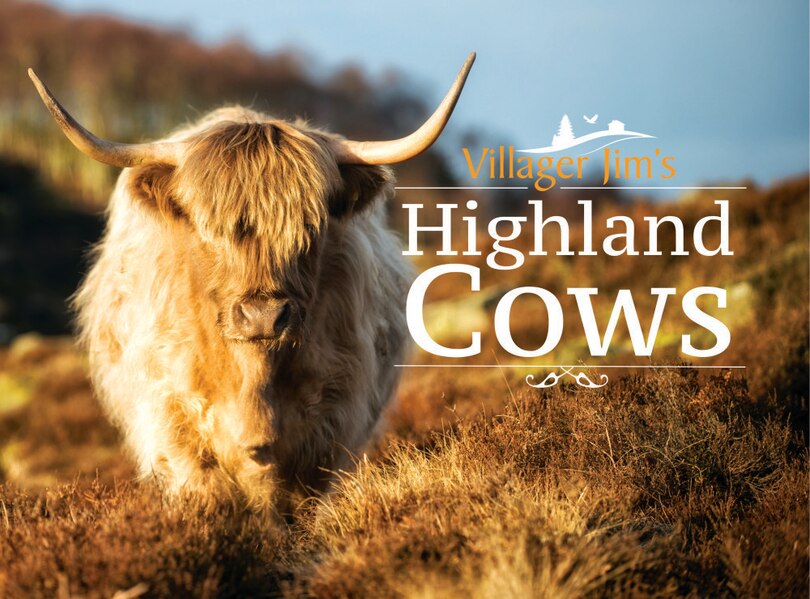 Front cover_Villager Jim's Highland Cows