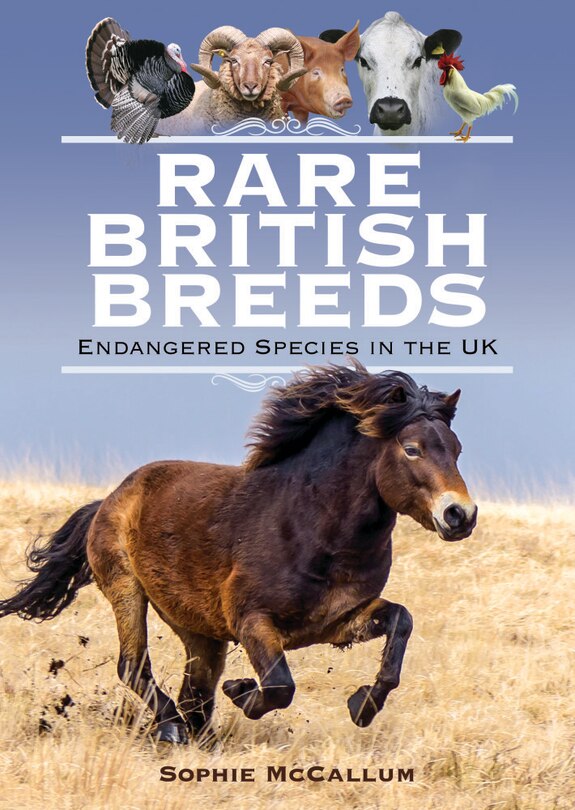 Couverture_Rare British Breeds