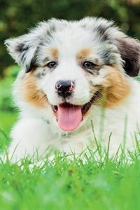 Australian Shepherd Spring Notebook & Journal. Productivity Work Planner & Idea Notepad: Brainstorm Thoughts, Self Discovery, To Do List
