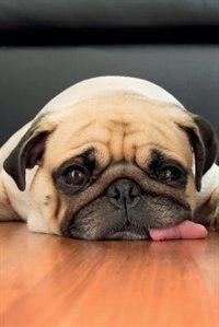 Front cover_Cute Pug Notebook & Journal. Productivity Work Planner & Idea Notepad