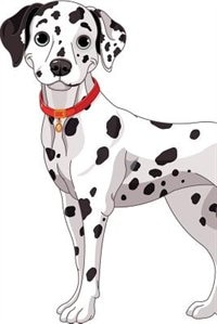 Dalmation February Notebook & Journal. Productivity Work Planner & Idea Notepad: Brainstorm Thoughts, Self Discovery, To Do List
