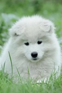 Couverture_Samoyed Notebook & Journal. Productivity Work Planner & Idea Notepad