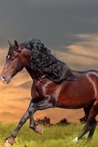 Bay Stallion Horse Notebook & Journal. Productivity Work Planner & Idea Notepad: Brainstorm Thoughts, Self Discovery, To Do List