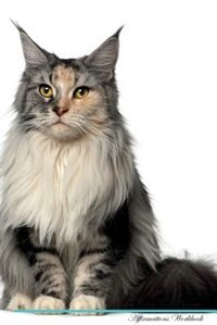 Maine Coon Cat Affirmations Workbook Maine Coon Cat Presents: Positive and Loving Affirmations Workbook. Includes: Mentoring Questions, Guidance, Supporting You.