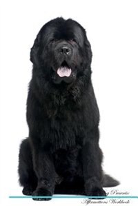 Newfoundland Dog Affirmations Workbook Newfoundland Dog Presents: Positive and Loving Affirmations Workbook. Includes: Mentoring Questions, Guidance, Supporting You.