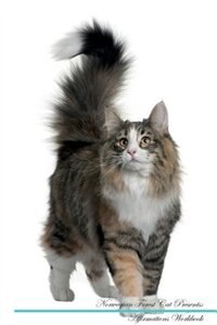 Norwegian Forest Cat Affirmations Workbook Norwegian Forest Cat Presents: Positive and Loving Affirmations Workbook. Includes: Mentoring Questions, Guidance, Supporting You.