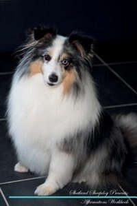 Shetland Sheepdog Affirmations Workbook Shetland Sheepdog Presents: Positive and Loving Affirmations Workbook. Includes: Mentoring Questions, Guidance, Supporting You.