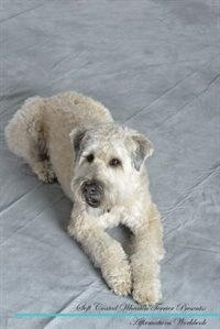 Soft Coated Wheaten Terrier Affirmations Workbook Soft Coated Wheaten Terrier Presents: Positive and Loving Affirmations Workbook. Includes: Mentoring Questions, Guidance, Supporting You.