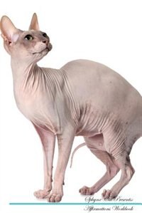 Sphynx Cat Affirmations Workbook Sphynx Cat Presents: Positive and Loving Affirmations Workbook. Includes: Mentoring Questions, Guidance, Supporting You.