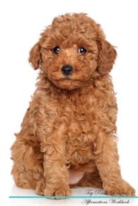Toy Poodle Affirmations Workbook Toy Poodle Presents: Positive and Loving Affirmations Workbook. Includes: Mentoring Questions, Guidance, Supporting You.