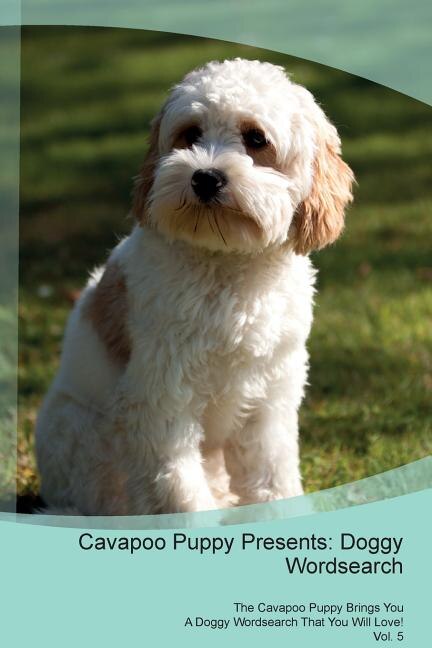Front cover_Cavapoo Puppy Presents
