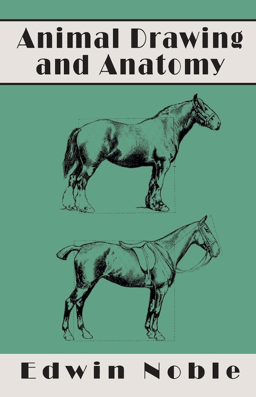 Front cover_Animal Drawing and Anatomy
