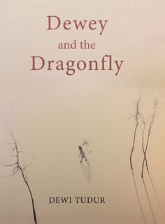 Front cover_Dewey And The Dragonfly
