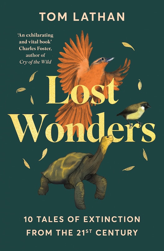 Couverture_Lost Wonders