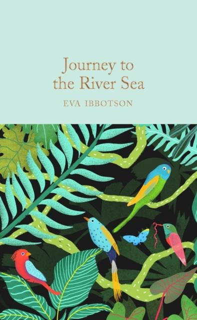 Front cover_Journey to the River Sea
