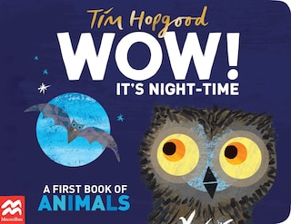 Front cover_WOW! It's Night-time