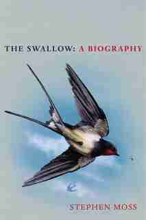 The Swallow by Stephen Moss