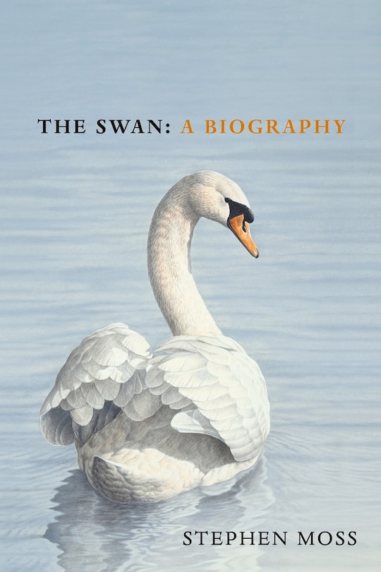 Front cover_The Swan