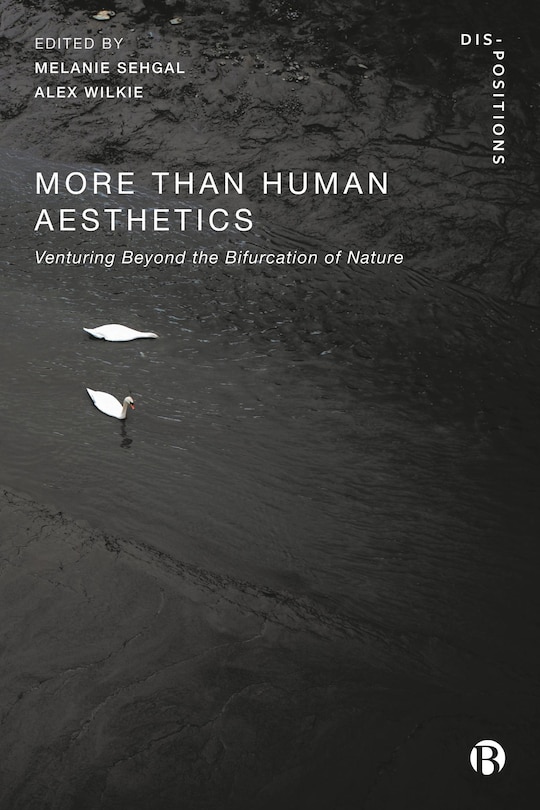 Front cover_More-Than-Human Aesthetics