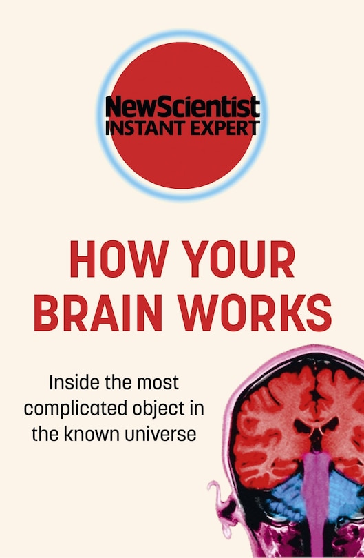 How Your Brain Works: Inside The Most Complicated Object In The Known Universe