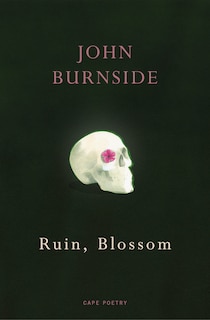 Front cover_Ruin, Blossom