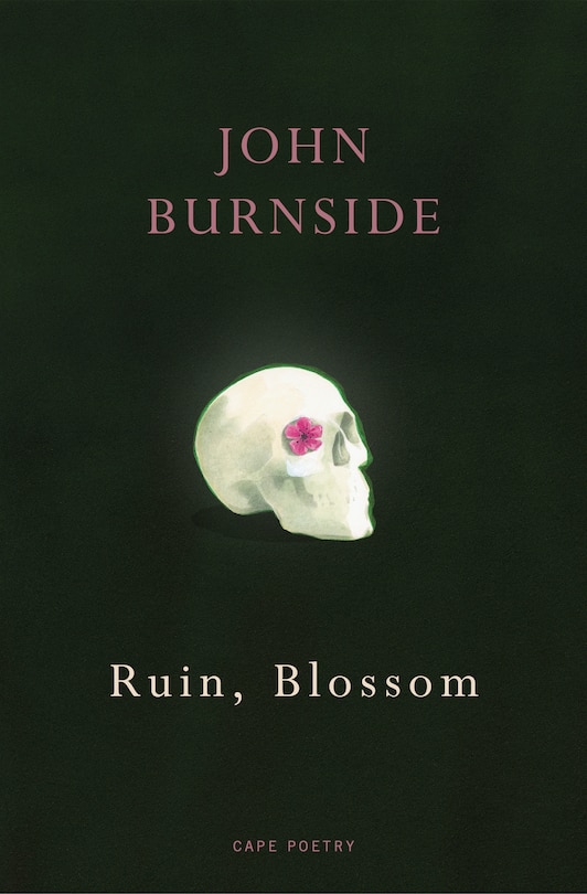 Front cover_Ruin, Blossom